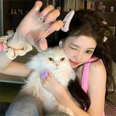 爱的着陆 第一季